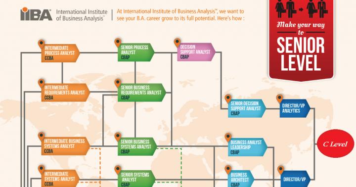 IT analyst - who to be?